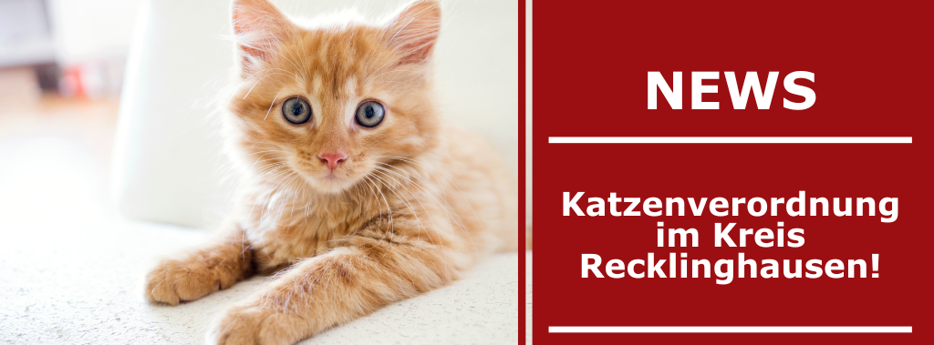 Katzenschutzverordnung: Endlich greift die Kastrationspflicht!