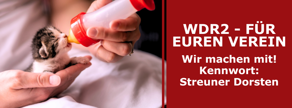 Wir machen mit bei „Für Euren Verein“ von WDR 2 – Unterstützt uns und helft uns zu gewinnen!